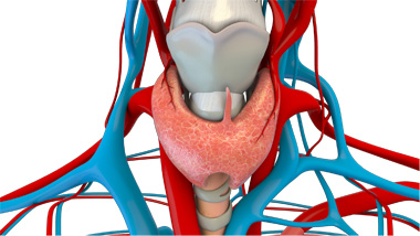 Parathyroid Disorders